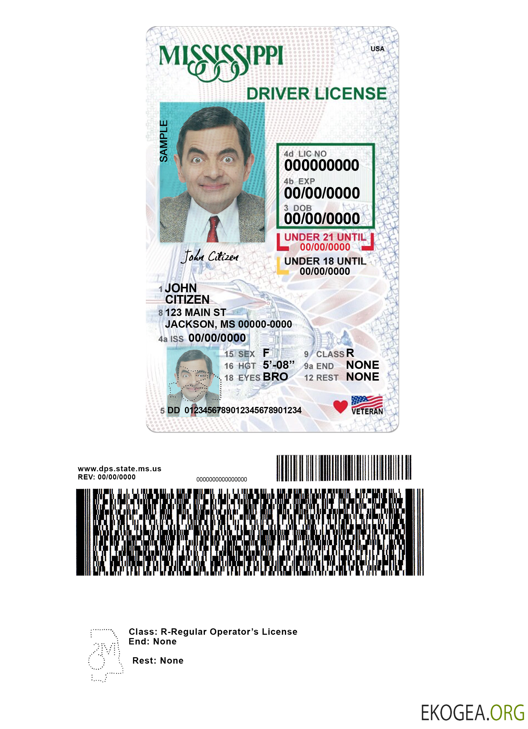 USA Mississippi driving license under 21